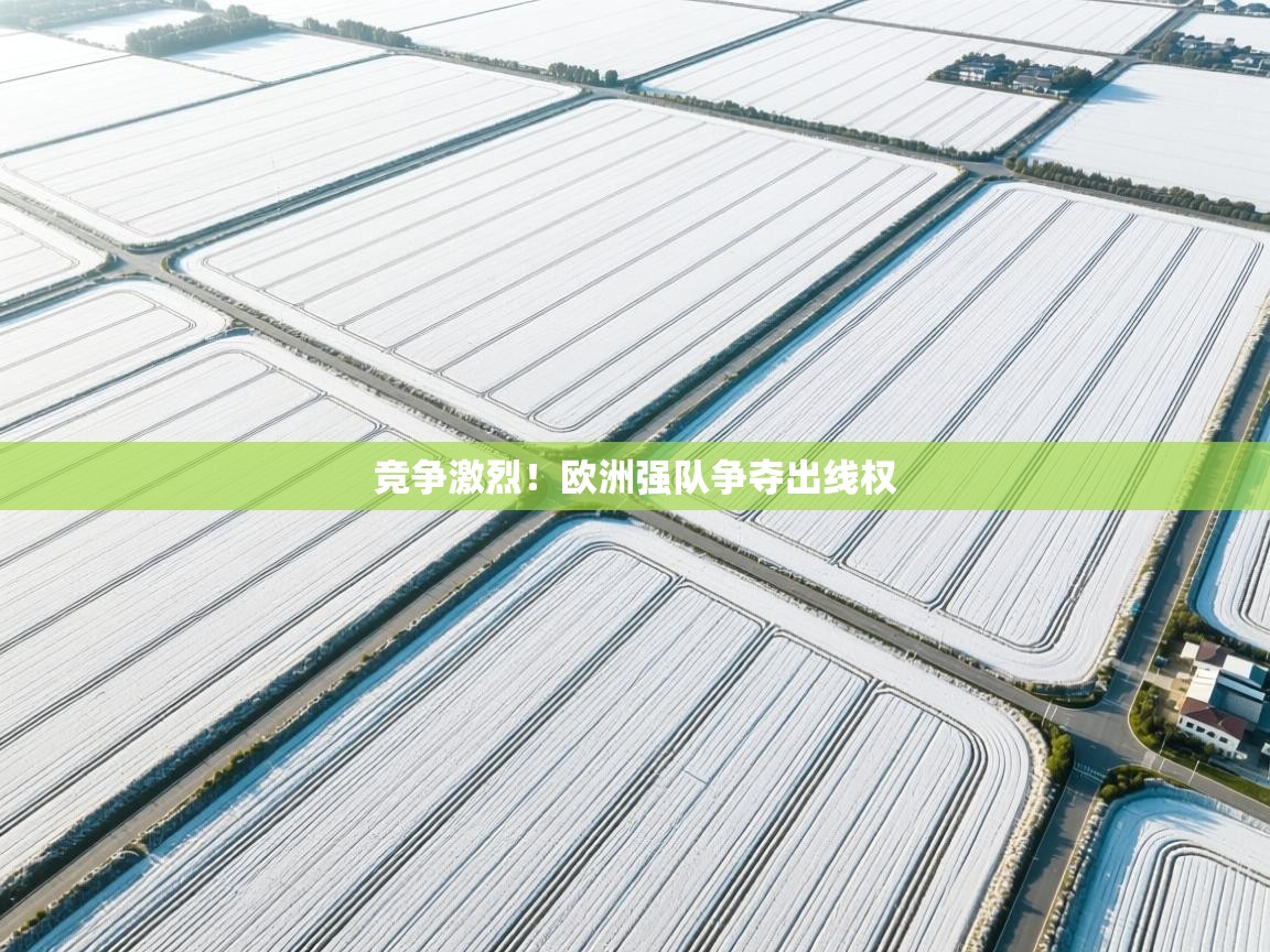 竞争激烈！欧洲强队争夺出线权  第1张