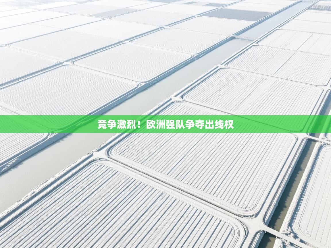 竞争激烈！欧洲强队争夺出线权  第2张